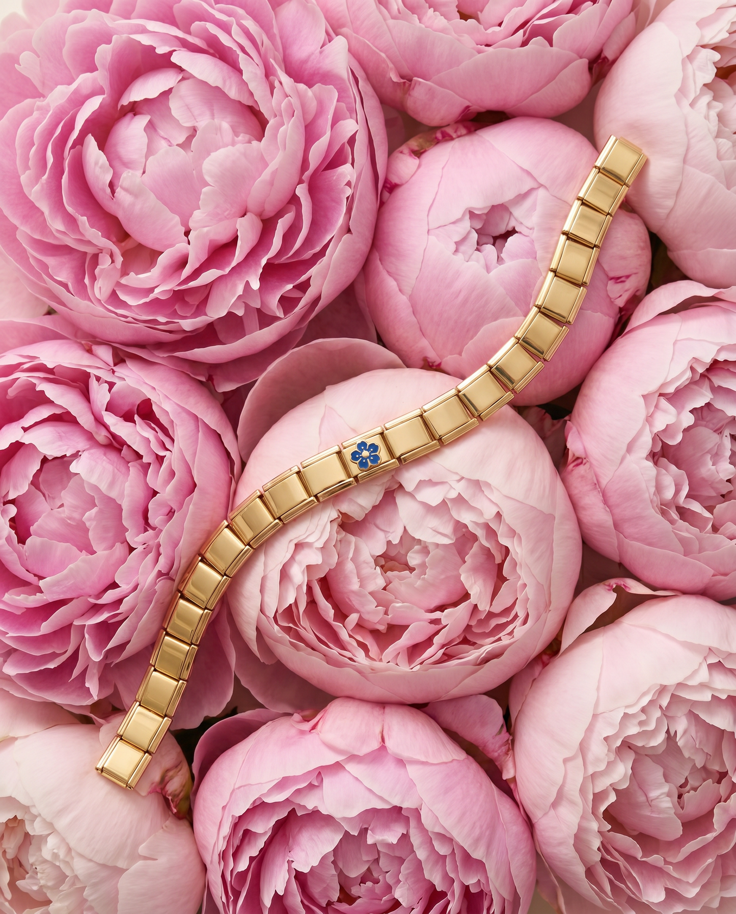 Italian Charm Kornblume Wiesenromantik | NovoCharm