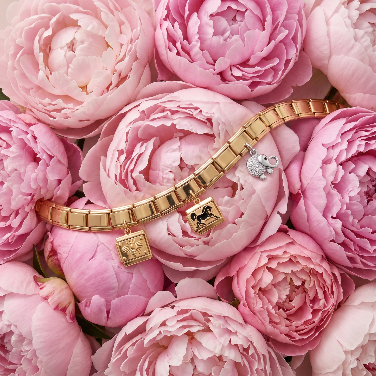 Bundle Tiere & Tierwelt - Peony Flat Lay