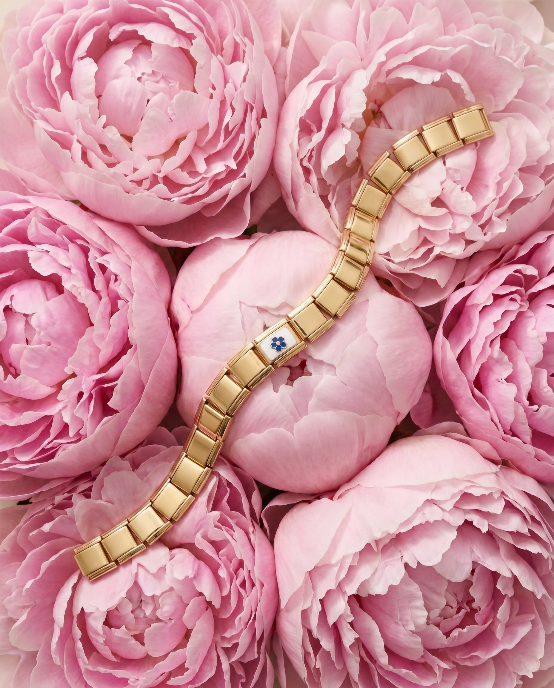 Italian Charm Blaue Blume kombiniert mit Natur Charms am Armband